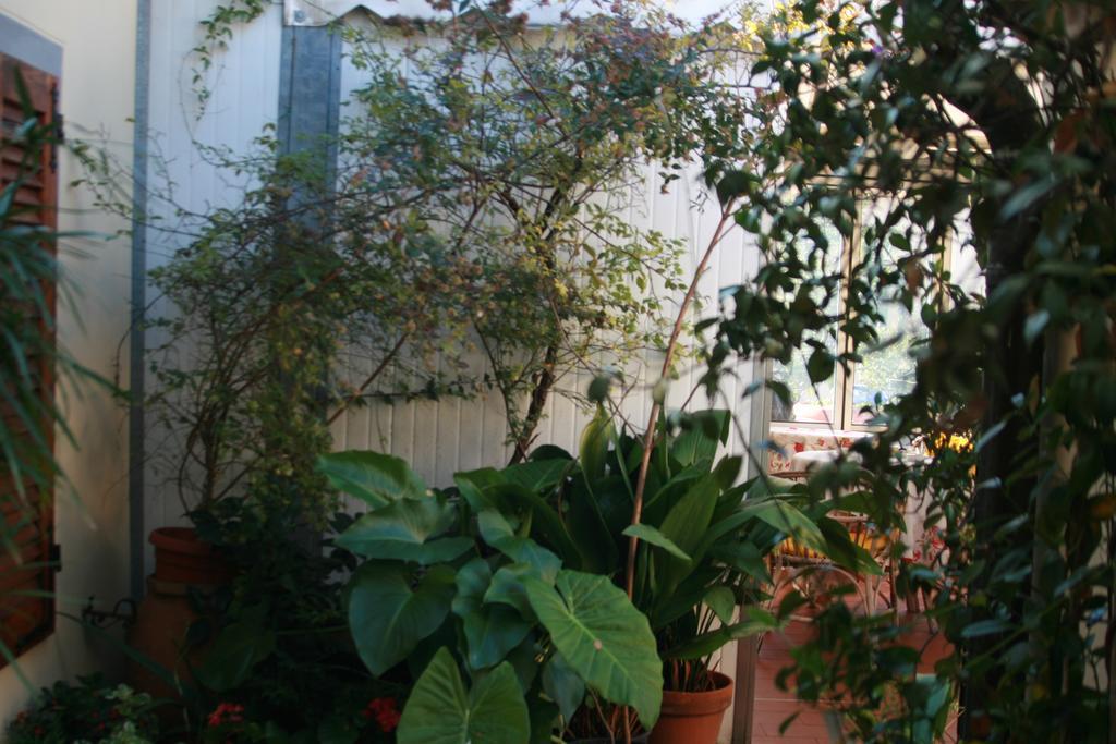 Albergo Villa Sorriso 피에솔레 외부 사진